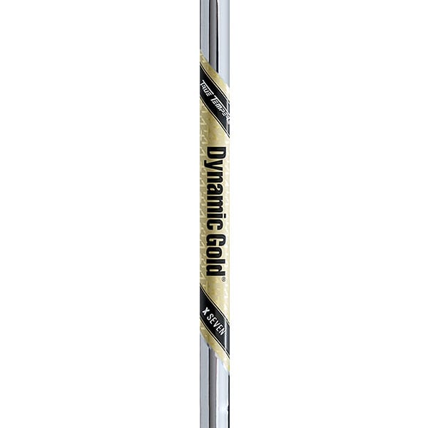 True Temper Dynamic Gold X7 Taper Tip Iron #2