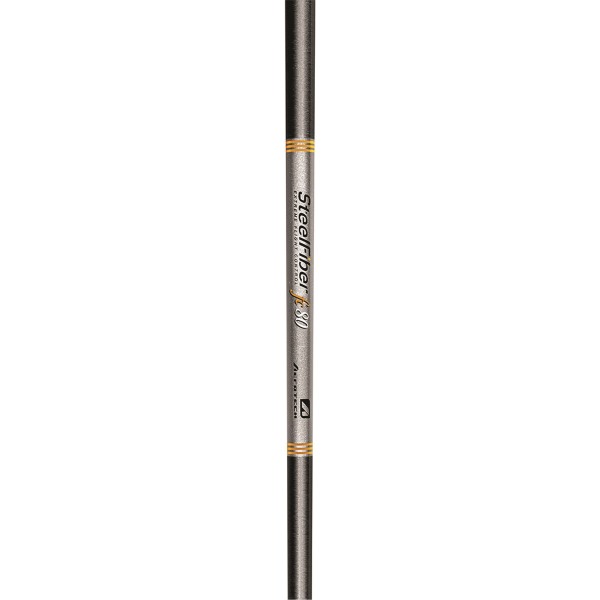 Aerotech SteelFiber fc80 Iron