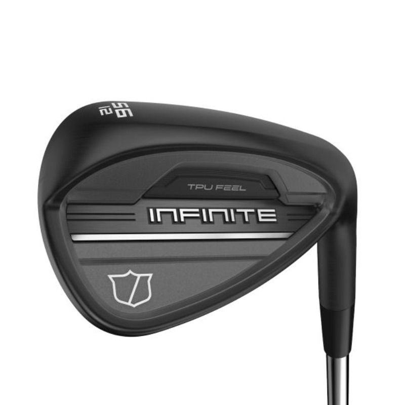 Wilson Infinite Wedge