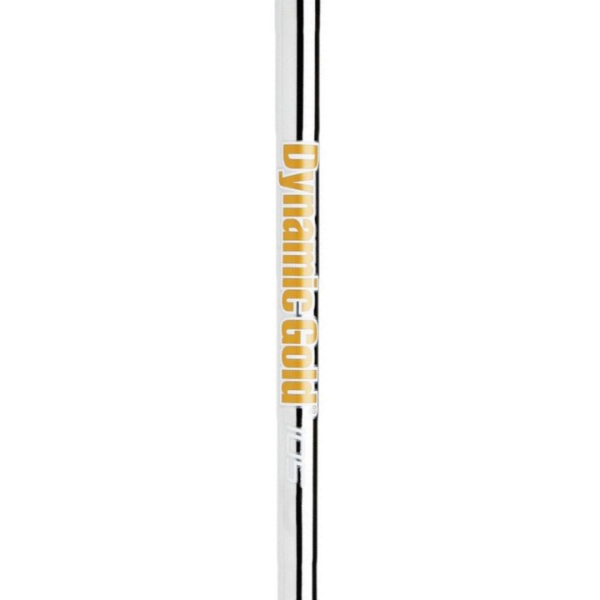 True Temper Dynamic Gold 105 Steel Taper Tip Iron-Regular #3