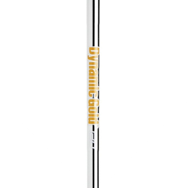True Temper Dynamic Gold 120 Steel Taper Tip Iron-Regular #2